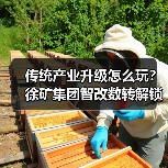 传统产业升级怎么玩?徐矿集团智改数转解锁新路径(图3) 传统产业升级怎么玩?徐矿集团智改数转解锁新路径(图3)