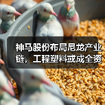神马股份布局尼龙产业链,工程塑料或成全资子公司(图2) 神马股份布局尼龙产业链,工程塑料或成全资子公司(图2)