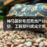神马股份布局尼龙产业链,工程塑料或成全资子公司(图1) 神马股份布局尼龙产业链,工程塑料或成全资子公司(图1)