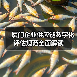 厦门企业供应链数字化评估规范全面解读(图3) 厦门企业供应链数字化评估规范全面解读(图3)