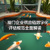 厦门企业供应链数字化评估规范全面解读(图4) 厦门企业供应链数字化评估规范全面解读(图4)