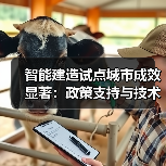 智能建造试点城市成效显著:政策支持与技术创新成果盘点(图2) 智能建造试点城市成效显著:政策支持与技术创新成果盘点(图2)