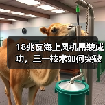 18兆瓦海上风机吊装成功,三一技术如何突破极限?(图4) 18兆瓦海上风机吊装成功,三一技术如何突破极限?(图4)