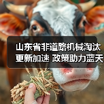 山东省非道路机械淘汰更新加速 政策助力蓝天保卫战绿色发展(图1) 山东省非道路机械淘汰更新加速 政策助力蓝天保卫战绿色发展(图1)