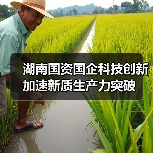 湖南国资国企科技创新加速新质生产力突破(图1) 湖南国资国企科技创新加速新质生产力突破(图1)