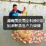 湖南国资国企科技创新加速新质生产力突破(图3) 湖南国资国企科技创新加速新质生产力突破(图3)