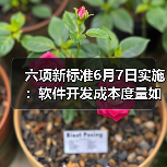 六项新标准6月7日实施:软件开发成本度量如何规范?(图1) 六项新标准6月7日实施:软件开发成本度量如何规范?(图1)
