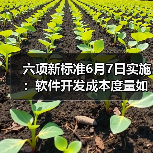 六项新标准6月7日实施:软件开发成本度量如何规范?(图3) 六项新标准6月7日实施:软件开发成本度量如何规范?(图3)