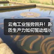 云南工业强势回升!新质生产力如何驱动增长?(图1) 云南工业强势回升!新质生产力如何驱动增长?(图1)
