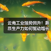 云南工业强势回升!新质生产力如何驱动增长?(图3) 云南工业强势回升!新质生产力如何驱动增长?(图3)