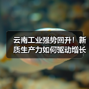 云南工业强势回升!新质生产力如何驱动增长?(图4) 云南工业强势回升!新质生产力如何驱动增长?(图4)