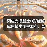 预应力混凝土U形板桩应用技术规程发布,如何规范水利工程设计施工?(图1) 预应力混凝土U形板桩应用技术规程发布,如何规范水利工程设计施工?(图1)