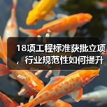 18项工程标准获批立项,行业规范性如何提升?(图2) 18项工程标准获批立项,行业规范性如何提升?(图2)