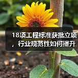 18项工程标准获批立项,行业规范性如何提升?(图3) 18项工程标准获批立项,行业规范性如何提升?(图3)