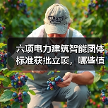 六项电力建筑智能团体标准获批立项,哪些值得关注?(图3) 六项电力建筑智能团体标准获批立项,哪些值得关注?(图3)