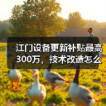 江门设备更新补贴最高300万,技术改造怎么申请?(图1) 江门设备更新补贴最高300万,技术改造怎么申请?(图1)