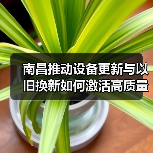 南昌推动设备更新与以旧换新如何激活高质量发展新动能(图4) 南昌推动设备更新与以旧换新如何激活高质量发展新动能(图4)