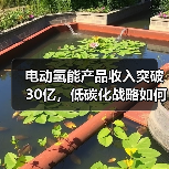 电动氢能产品收入突破30亿,低碳化战略如何引领行业突破?(图1) 电动氢能产品收入突破30亿,低碳化战略如何引领行业突破?(图1)