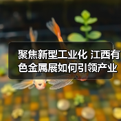 聚焦新型工业化 江西有色金属展如何引领产业未来(图1) 聚焦新型工业化 江西有色金属展如何引领产业未来(图1)