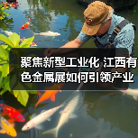 聚焦新型工业化 江西有色金属展如何引领产业未来(图3) 聚焦新型工业化 江西有色金属展如何引领产业未来(图3)