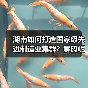 湖南如何打造国家级先进制造业集群?解码崛起密匙(图1) 湖南如何打造国家级先进制造业集群?解码崛起密匙(图1)