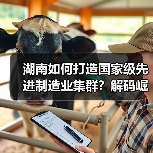 湖南如何打造国家级先进制造业集群?解码崛起密匙(图3) 湖南如何打造国家级先进制造业集群?解码崛起密匙(图3)