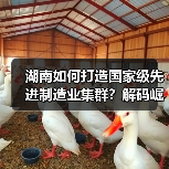 湖南如何打造国家级先进制造业集群?解码崛起密匙(图4) 湖南如何打造国家级先进制造业集群?解码崛起密匙(图4)