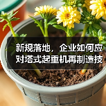新规落地，企业如何应对塔式起重机再制造技术升级？（图4）
