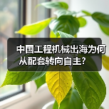 中国工程机械出海为何从配套转向自主?(图1) 中国工程机械出海为何从配套转向自主?(图1)