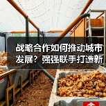 战略合作如何推动城市发展?强强联手打造新标杆(图2) 战略合作如何推动城市发展?强强联手打造新标杆(图2)