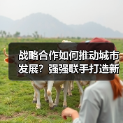 战略合作如何推动城市发展?强强联手打造新标杆(图4) 战略合作如何推动城市发展?强强联手打造新标杆(图4)