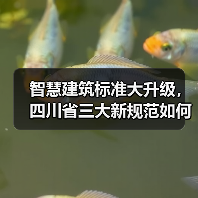 智慧建筑标准大升级,四川省三大新规范如何改变行业?(图2) 智慧建筑标准大升级,四川省三大新规范如何改变行业?(图2)