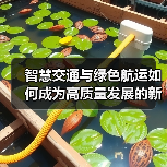 智慧交通与绿色航运如何成为高质量发展的新引擎?(图2) 智慧交通与绿色航运如何成为高质量发展的新引擎?(图2)