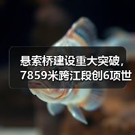 悬索桥建设重大突破,7859米跨江段创6项世界纪录(图2) 悬索桥建设重大突破,7859米跨江段创6项世界纪录(图2)