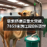 悬索桥建设重大突破,7859米跨江段创6项世界纪录(图4) 悬索桥建设重大突破,7859米跨江段创6项世界纪录(图4)