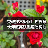 突破技术极限!世界最长海底高铁隧道盾构掘进创奇迹(图3) 突破技术极限!世界最长海底高铁隧道盾构掘进创奇迹(图3)