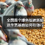 全国首个绿色低碳新能源示范基地如何引领行业转型?(图1) 全国首个绿色低碳新能源示范基地如何引领行业转型?(图1)