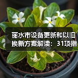 丽水市设备更新和以旧换新方案解读:31项措施推动行业投资增长(图1) 丽水市设备更新和以旧换新方案解读:31项措施推动行业投资增长(图1)