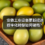 安徽工业设备更新提速 数字化转型如何破局?(图4) 安徽工业设备更新提速 数字化转型如何破局?(图4)