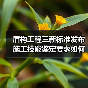 盾构工程三新标准发布 施工技能鉴定要求如何解读(图1) 盾构工程三新标准发布 施工技能鉴定要求如何解读(图1)