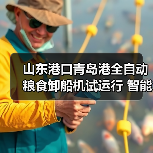 山东港口青岛港全自动粮食卸船机试运行 智能化升级引关注(图3) 山东港口青岛港全自动粮食卸船机试运行 智能化升级引关注(图3)