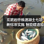玄武岩纤维混凝土七项新标准实施 智能建造如何升级?(图4) 玄武岩纤维混凝土七项新标准实施 智能建造如何升级?(图4)