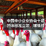 中国中小企业协会十项团体标准立项,哪些技术规程值得关注?(图1) 中国中小企业协会十项团体标准立项,哪些技术规程值得关注?(图1)