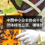中国中小企业协会十项团体标准立项,哪些技术规程值得关注?(图3) 中国中小企业协会十项团体标准立项,哪些技术规程值得关注?(图3)