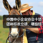 中国中小企业协会十项团体标准立项,哪些技术规程值得关注?(图4) 中国中小企业协会十项团体标准立项,哪些技术规程值得关注?(图4)
