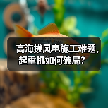 高海拔风电施工难题,起重机如何破局?(图3) 高海拔风电施工难题,起重机如何破局?(图3)