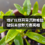 煤矿压煤开采沉降难题破解关键新方案亮相(图2) 煤矿压煤开采沉降难题破解关键新方案亮相(图2)