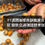 31项团体标准获批准立项 聚焦交通领域技术创新与规范发展(图1) 31项团体标准获批准立项 聚焦交通领域技术创新与规范发展(图1)