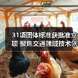 31项团体标准获批准立项 聚焦交通领域技术创新与规范发展(图2) 31项团体标准获批准立项 聚焦交通领域技术创新与规范发展(图2)