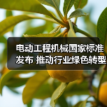 电动工程机械国家标准发布 推动行业绿色转型(图3) 电动工程机械国家标准发布 推动行业绿色转型(图3)